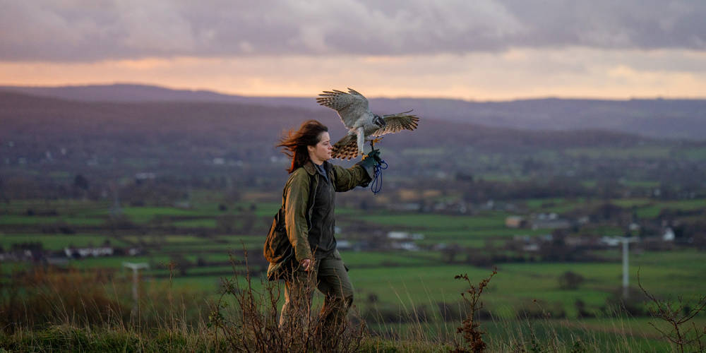 H Is for Hawk