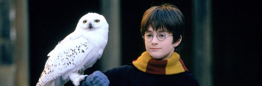 Harry Potter 1