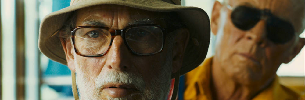 Mr. Kaplan